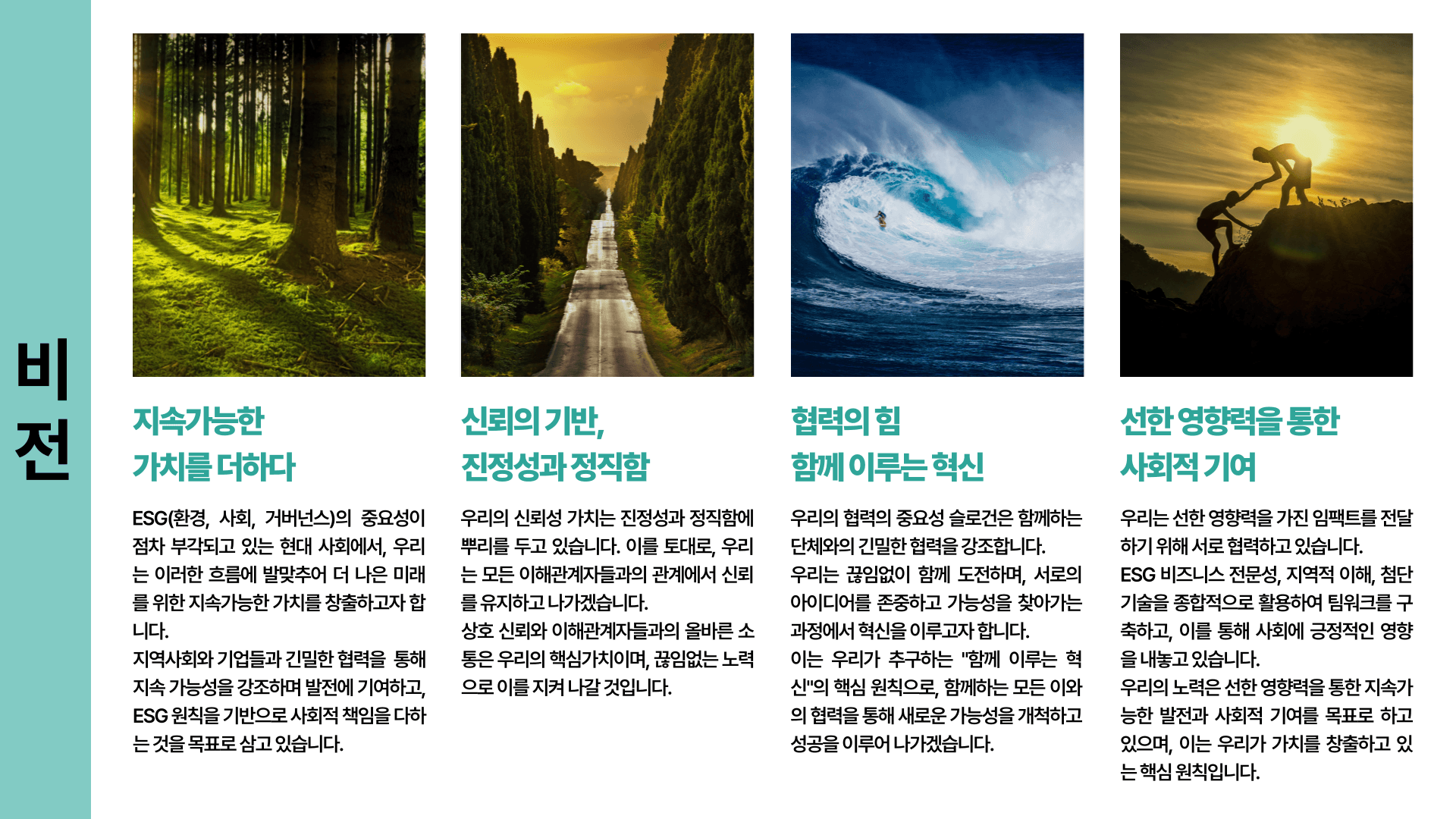 비전